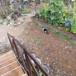 2025-01 Carretera Austral